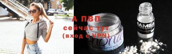 сатива Армянск