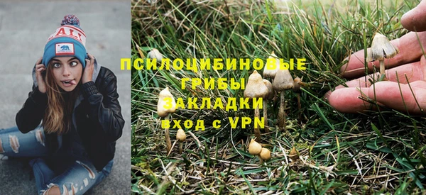 ECSTASY Балабаново