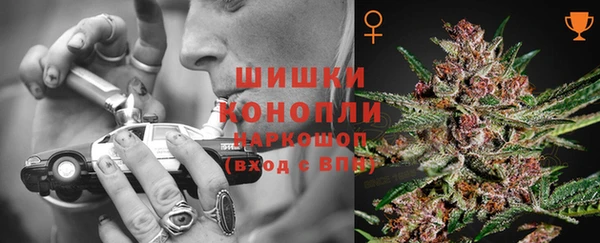 сатива Армянск